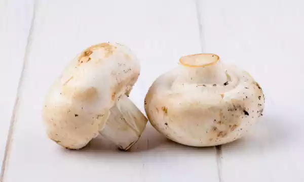 표고버섯-통풍