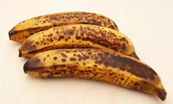 갈색점-바나나