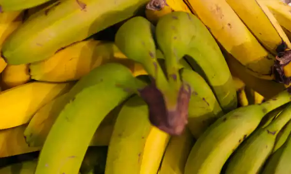 바나나-숙성-색깔
