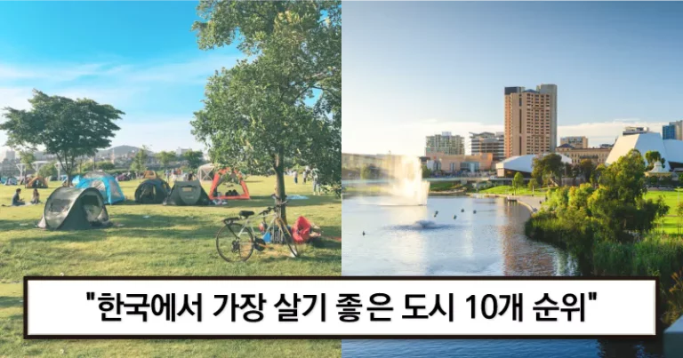 한국에서-가장-살기-좋은-도시