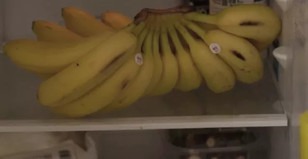 바나나-냉장-보관