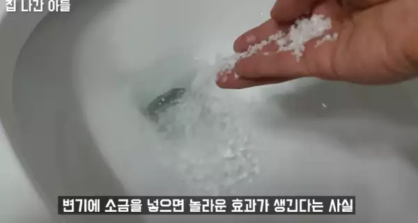 소금-변기-청소
